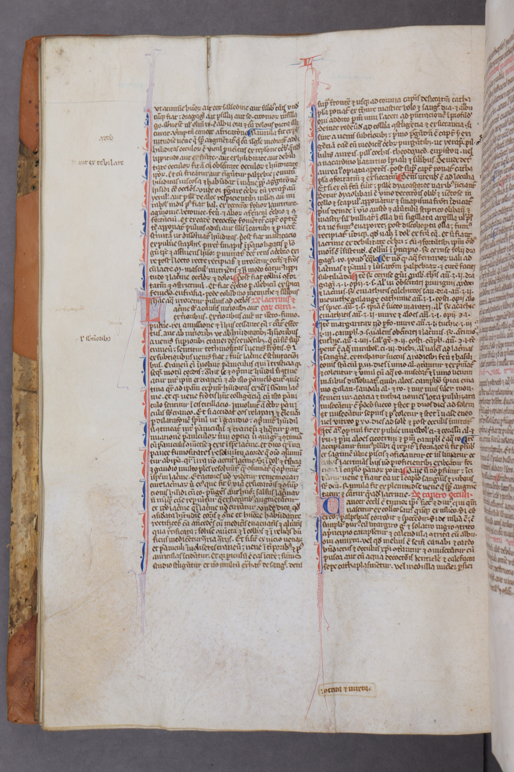 Folio 63 verso